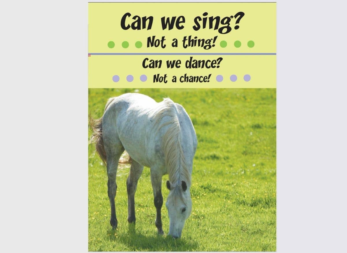 Horse Hollow Press - Birthday Card: Can We Sing? Not a Thing!