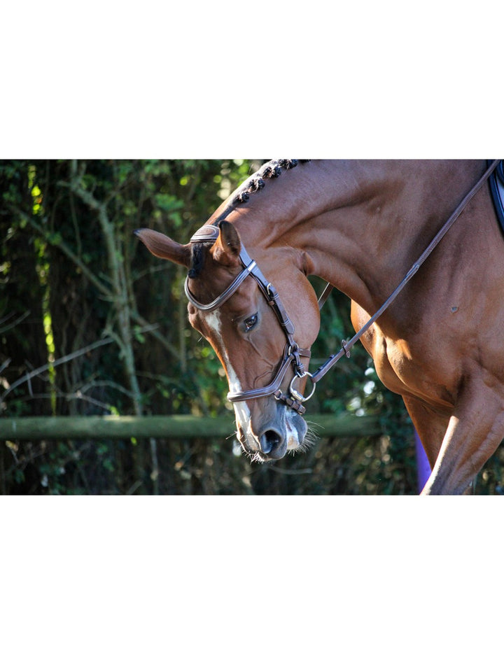 Jump'In - One New York  Bridle with reins