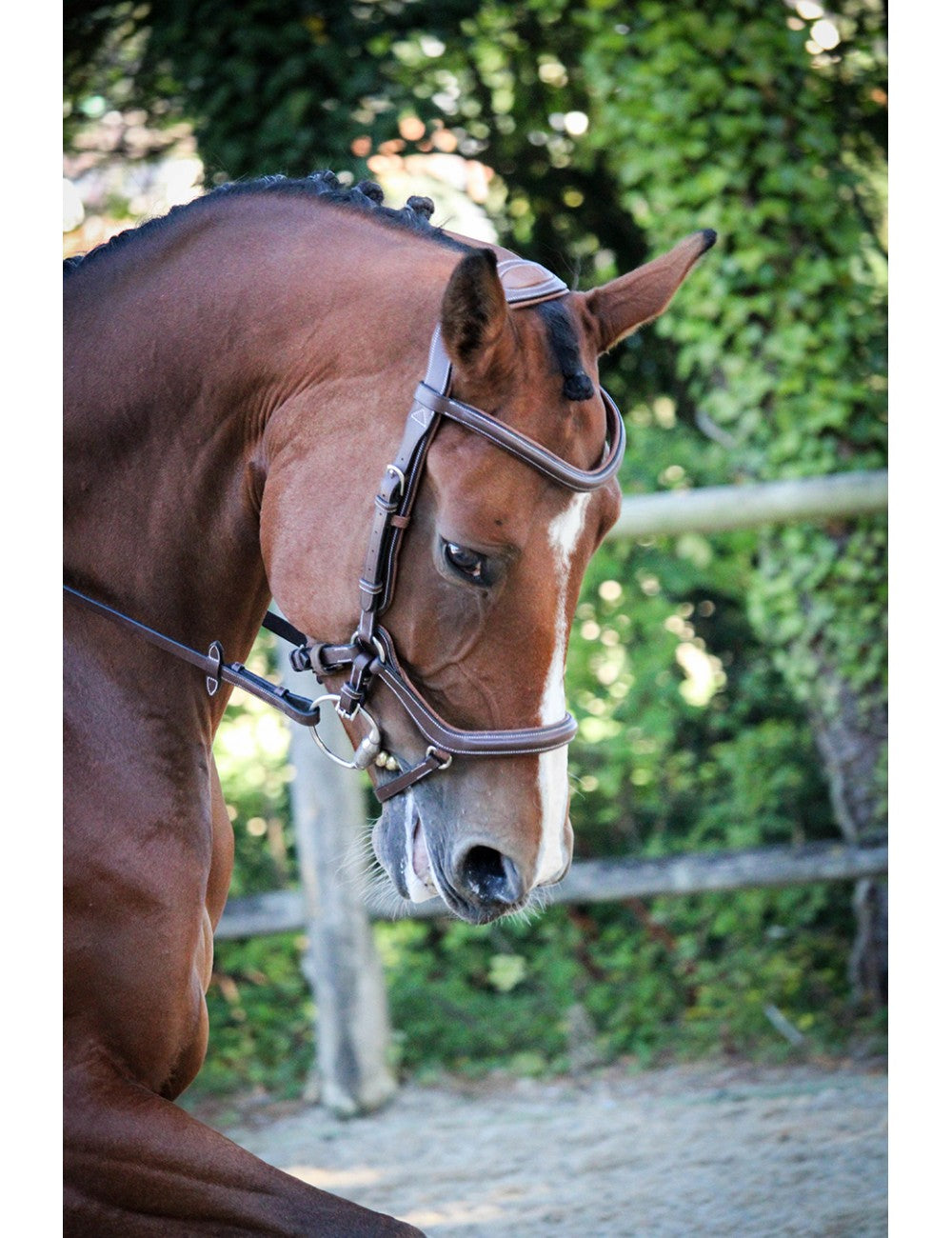 Jump'In - One New York  Bridle with reins