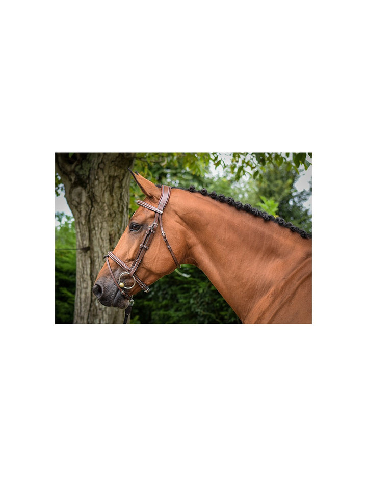 Jump'In - One Paris Bridle with reins