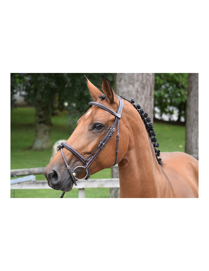 Jump'In - Week Thursday Bridle with reins