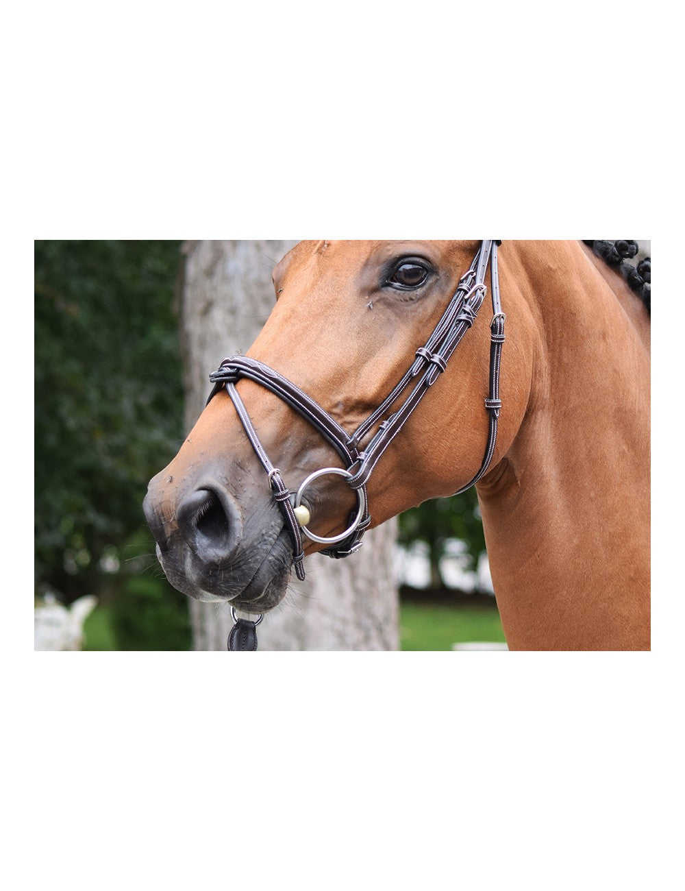 Jump'In - Week Thursday Bridle with reins
