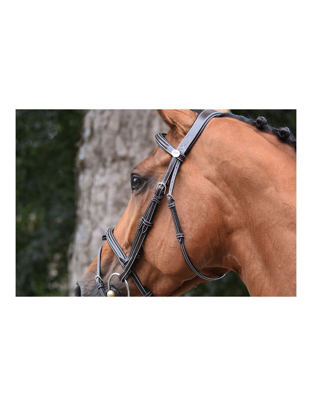 Jump'In - Week Thursday Bridle with reins