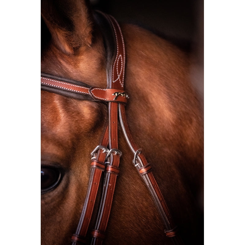 Penelope US Bridle