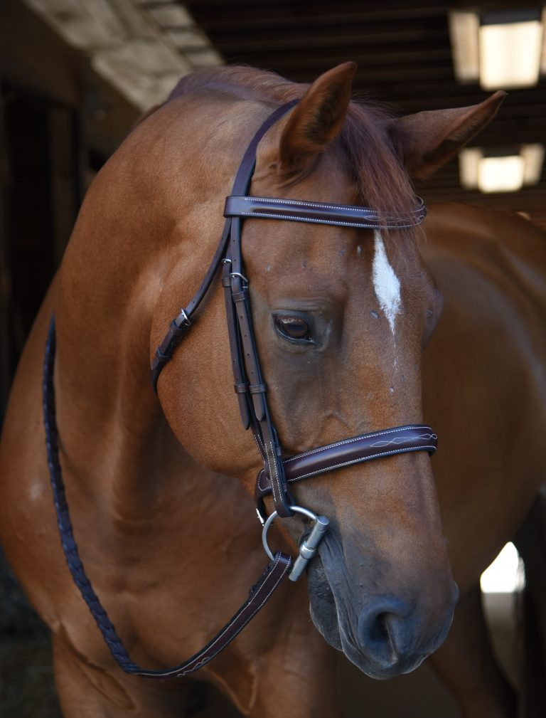 Black Oak Poppy Fancy Stitched Bridle