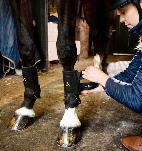 Horseware Adagio Boots