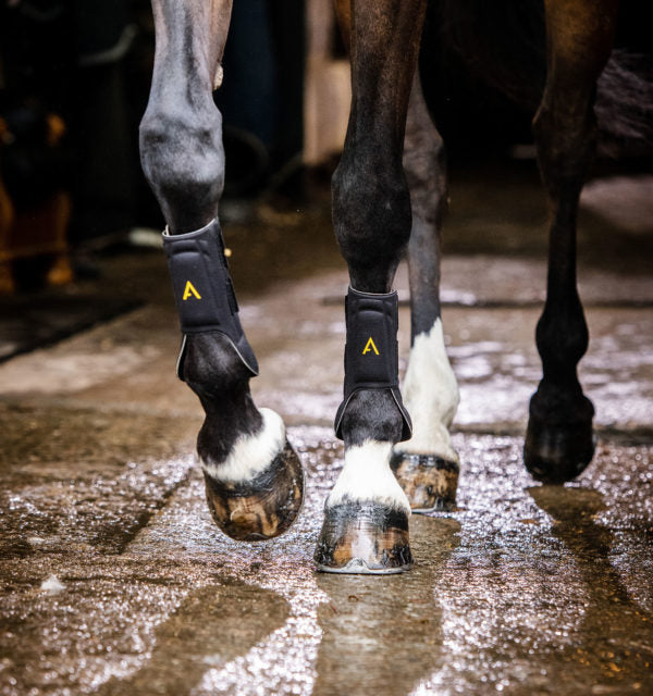 Horseware Adagio Boots