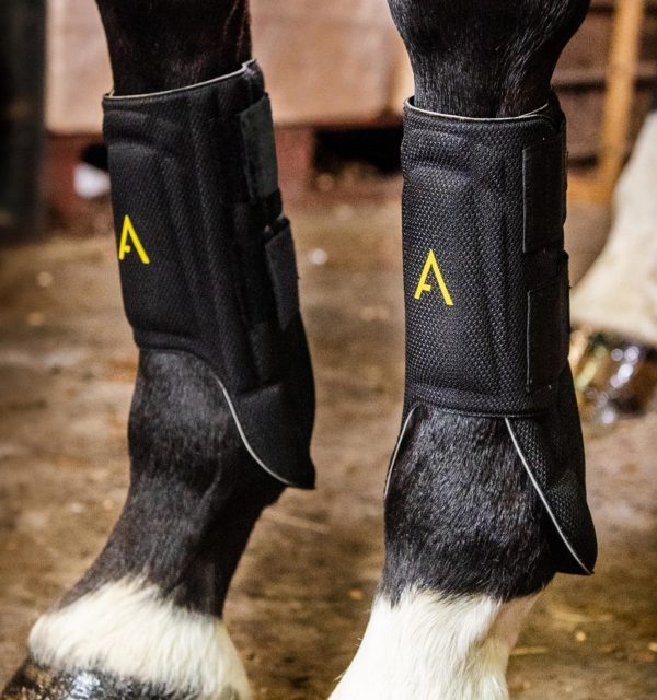 Horseware Adagio Boots