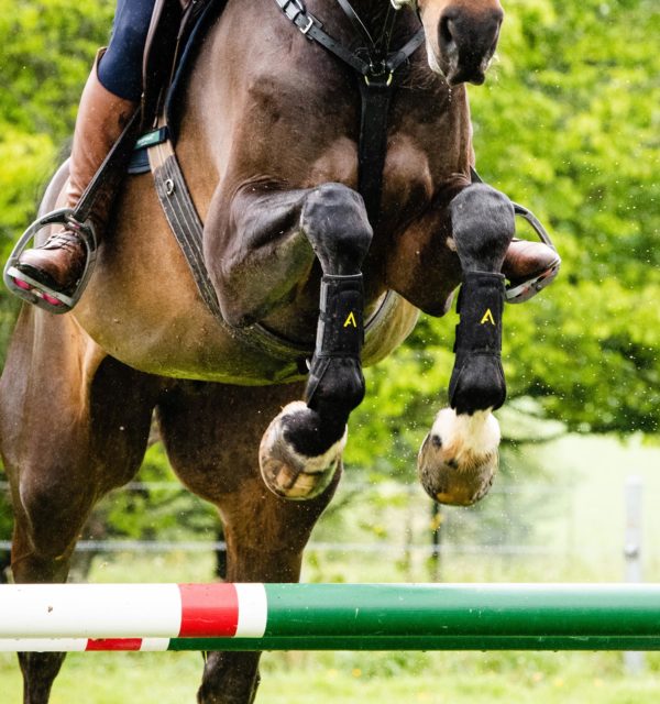 Horseware Adagio Boots