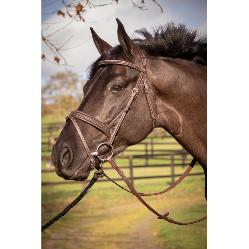 Penelope Elegance Bridle