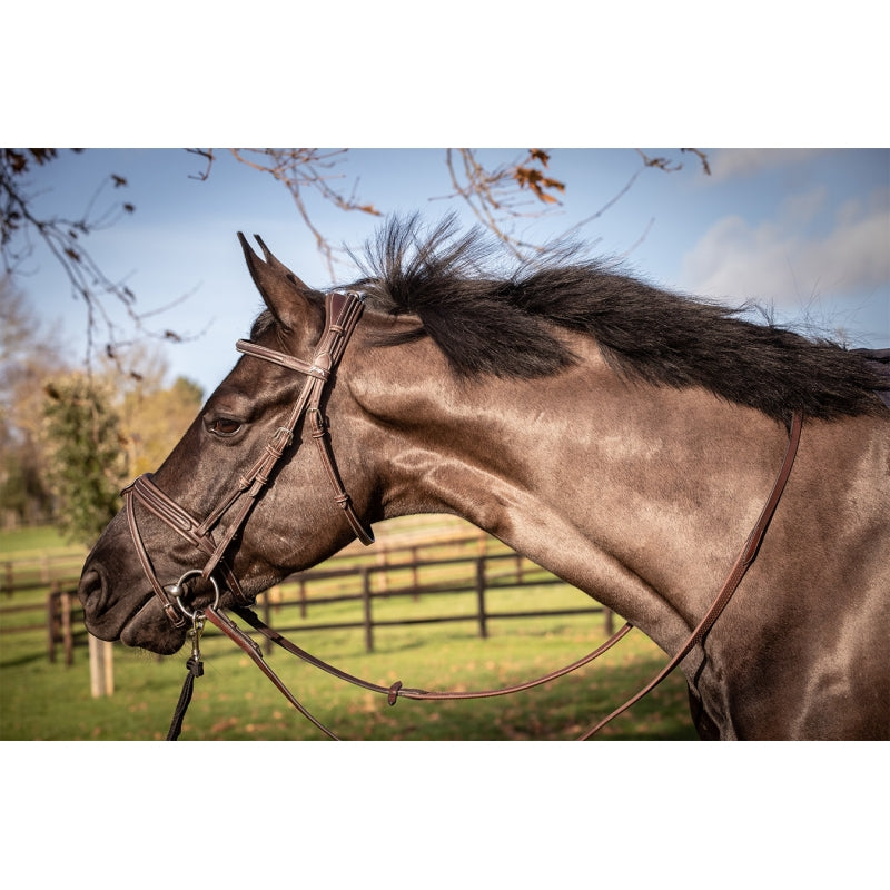 Penelope Elegance Bridle