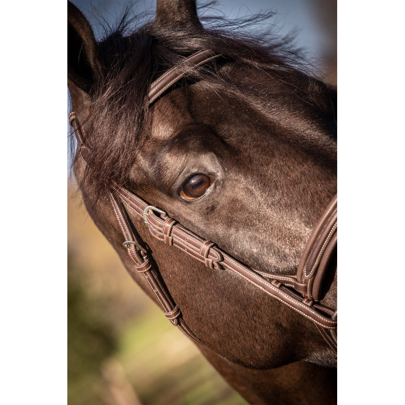 Penelope Elegance Bridle