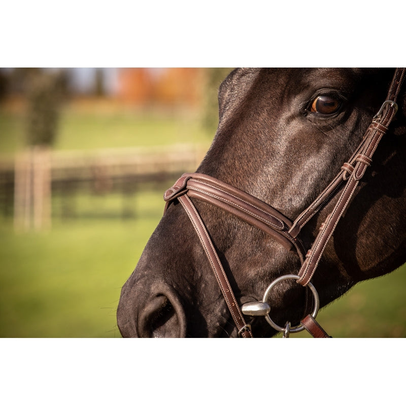 Penelope Elegance Bridle