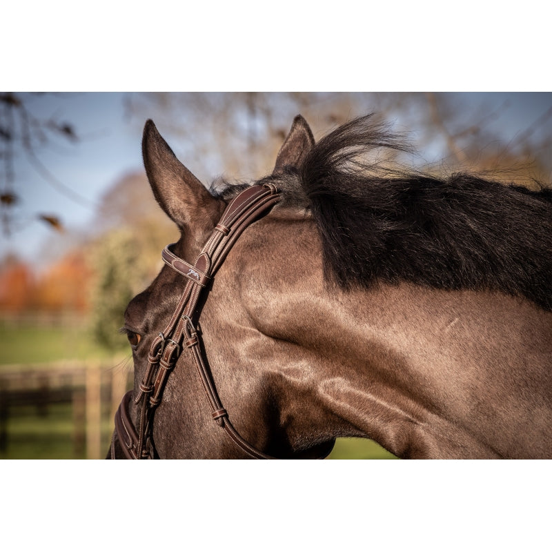 Penelope Elegance Bridle