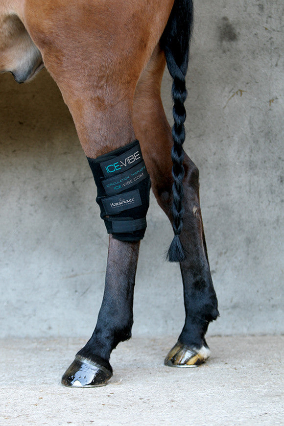 Ice-Vibe Hock Boot - The Tack Shop of Lexington