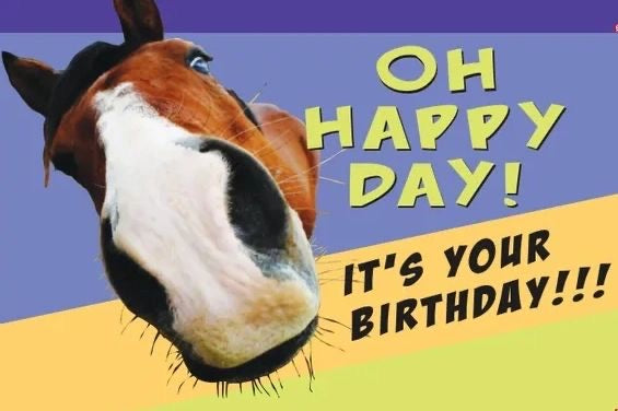 Money or Gift Card & Envelope: Oh Happy Day It's Your Birthday Horse