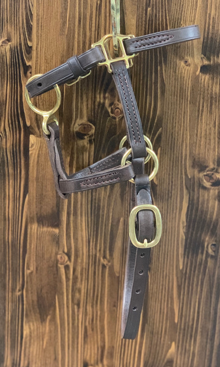 Bluegrass Leather Turnout Halter