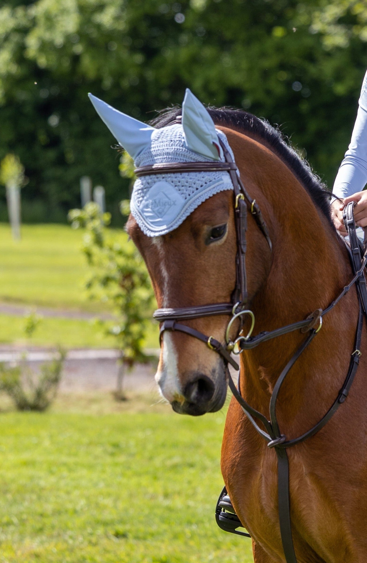 PADDOCK SPORTS - Bonnet Pro Cotton - Noir - Pony Power