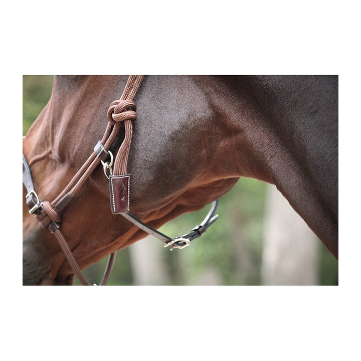 Penelope Ethological Halter