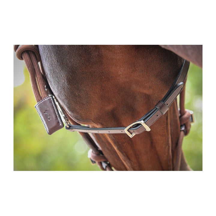 Penelope Ethological Halter