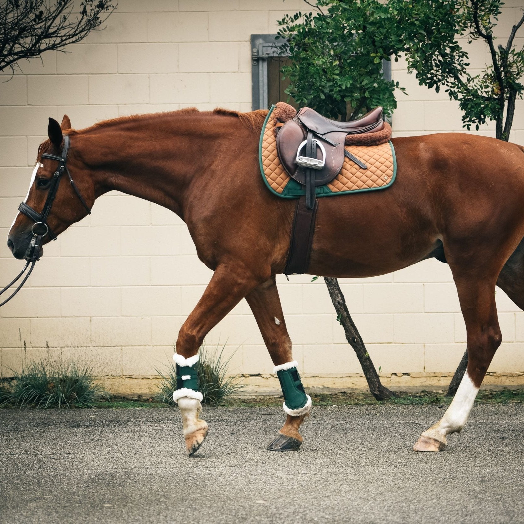 Fleece Lined Brush Boots
