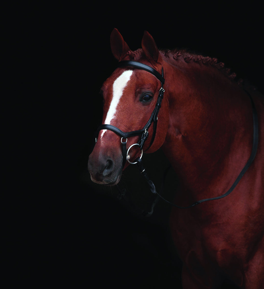 Rambo Micklem Competition Bridle - The Tack Shop of Lexington - 3
