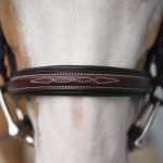 Red Barn Icon Bridle