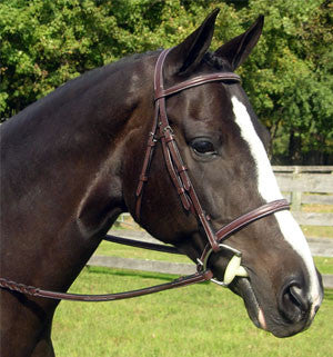 Red Barn Sovereign Hunter Bridle - The Tack Shop of Lexington