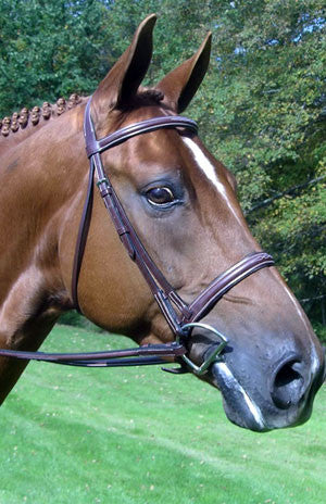 Red Barn Spirit Hunter Bridle - The Tack Shop of Lexington