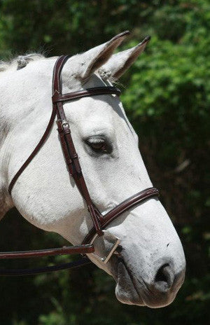 Red Barn Synergy Hunter Bridle - The Tack Shop of Lexington