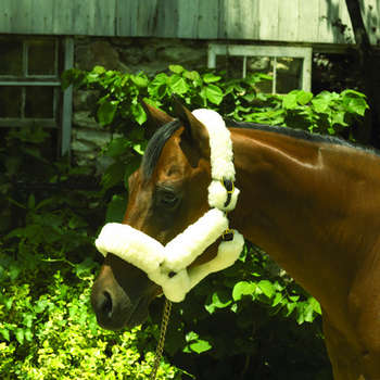 Perris Leather Sheepskin Shipping Halter