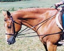 Tory Long Leather Draw Reins w/Snaps and Girth Loops
